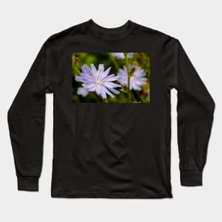 Purple chicory flower Long Sleeve T-Shirt